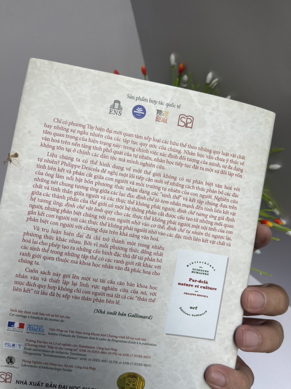 (Bìa mềm) BÊN KIA TỰ NHIÊN VÀ VĂN HÓA – Philippe Descola – NXB ĐH Sư phạm