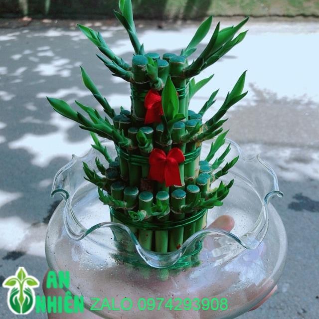 Trúc Phát Tài 3 Tầng