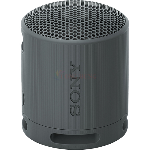 Loa Bluetooth Sony SRS-XB100 - Hàng chính hãng