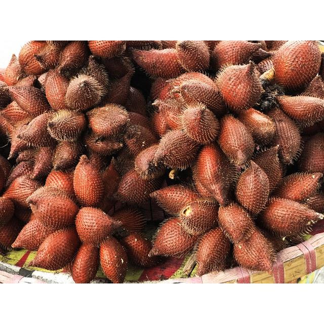 Cây giống Mây Thái Rừng Chua Ngọt