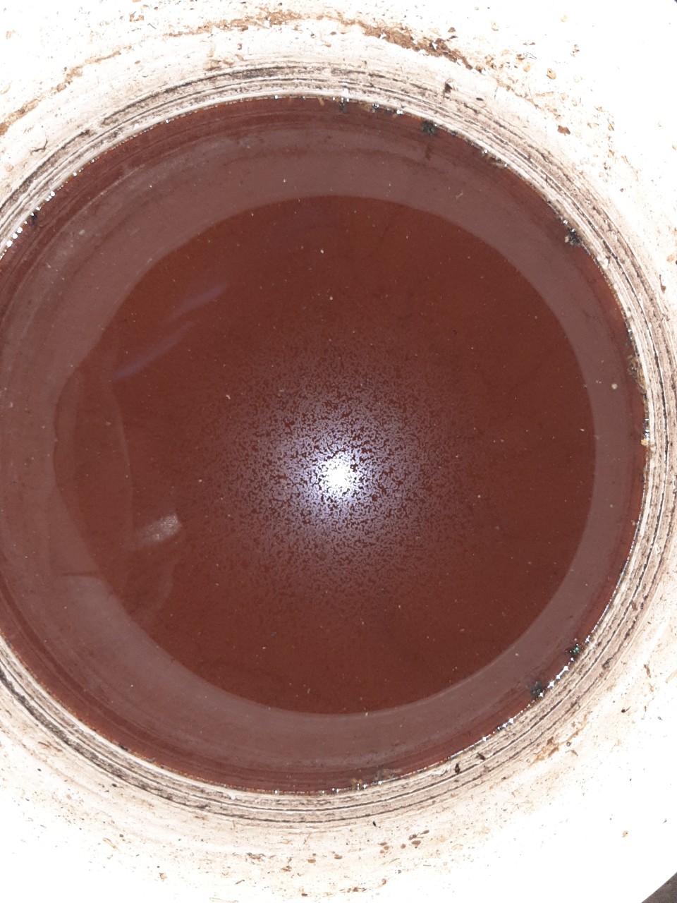 Đạm cá sinh học chai 5l