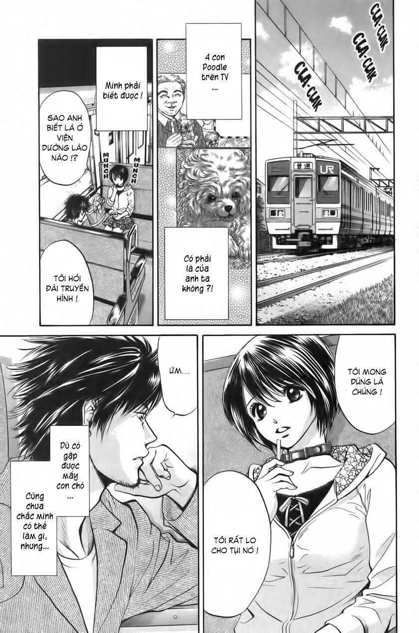 cô nàng yêu chó chapter 30 4