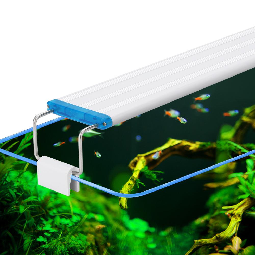 Thanh Đèn LED màu xanh trắng cho bể cá thủy sinh