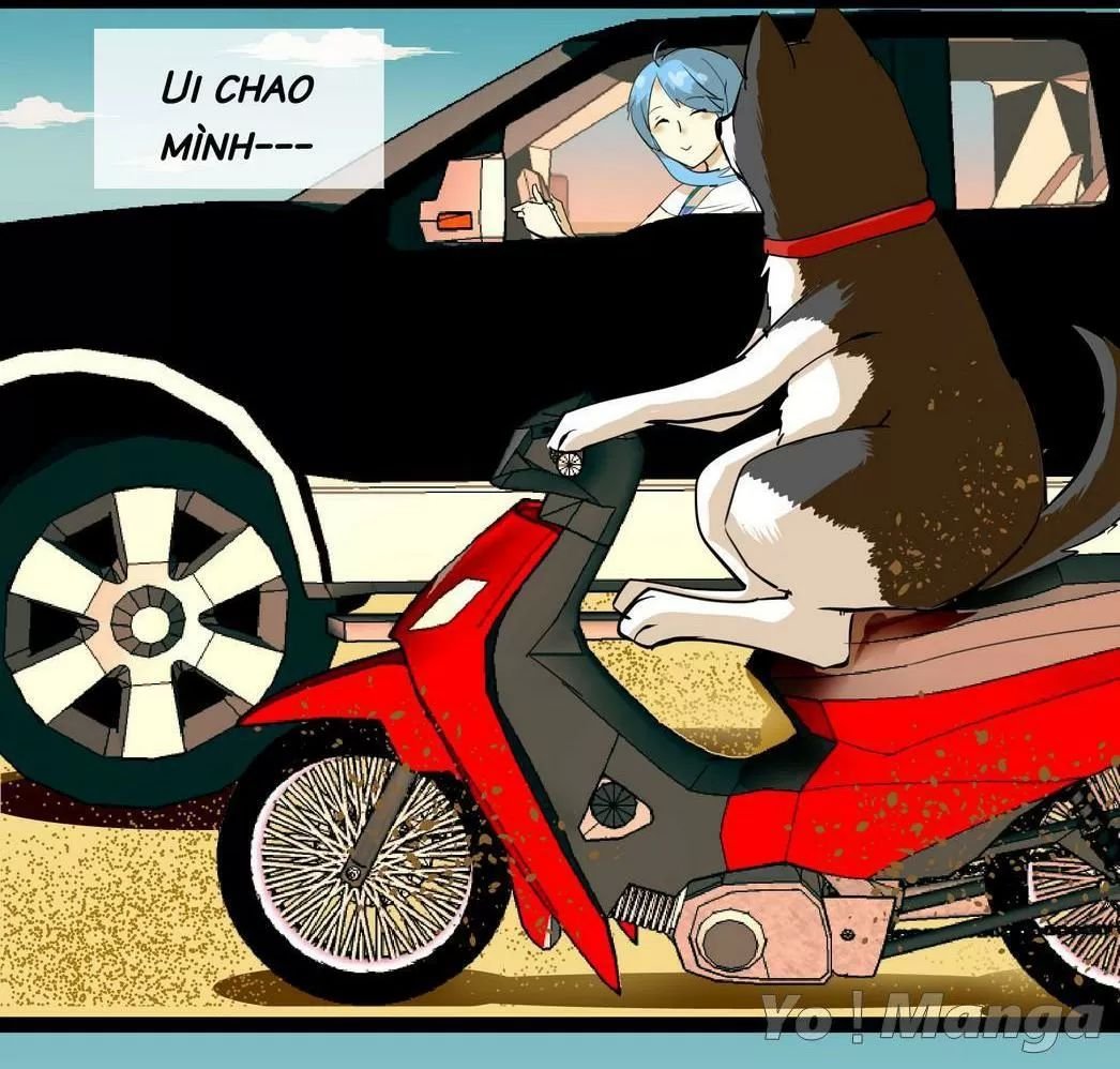 một con chó chapter 64 5