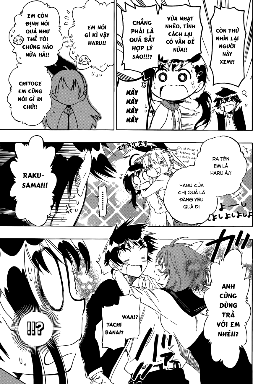 nisekoi - tình yêu giả tạo chapter 76 11