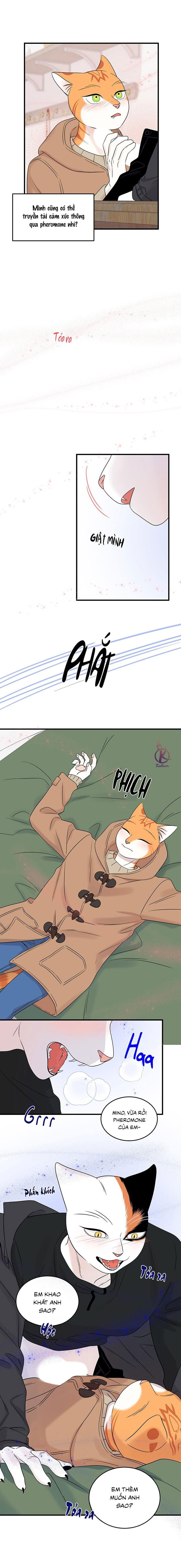 dự án xanh chapter 55 7