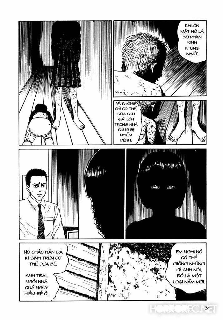 tuyển tập truyện ngắn kinh dị của ito junji chapter 7.3 33