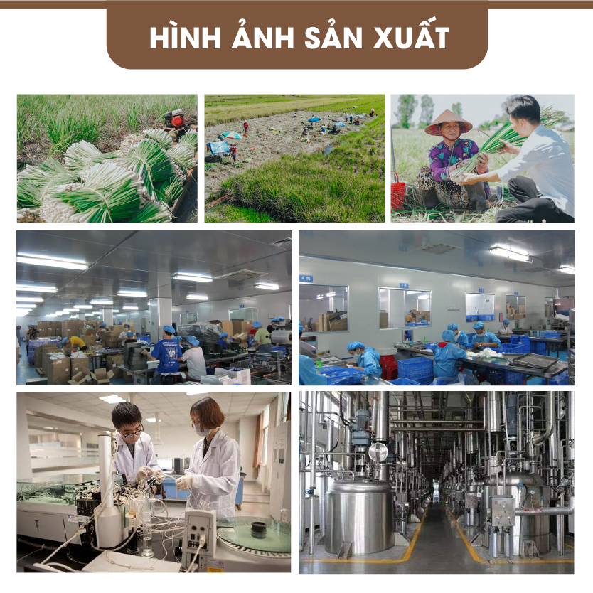 Tinh Dầu Nho Homer 100ml - Xông Thơm Phòng, Thư Giãn Khử Mùi - Tinh Dầu Trái Cây Thiên Nhiên