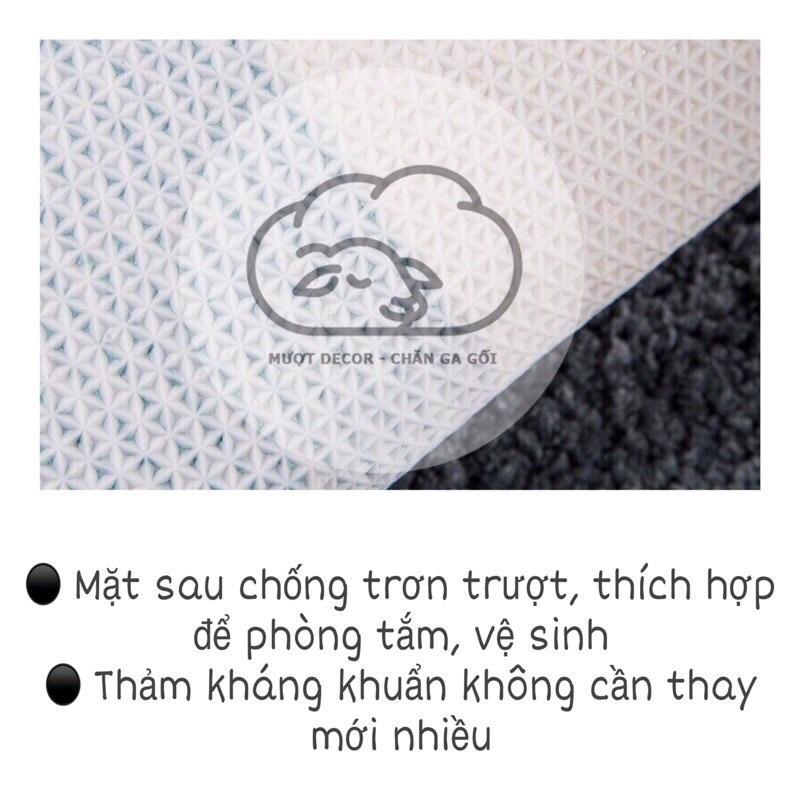 THẢM LAU CHÂN HÌNH THÚ CƯNG SIÊU DỄ THƯƠNG
