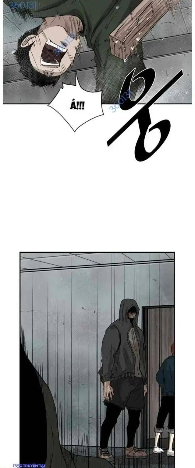 shark - cá mập chapter 85 43