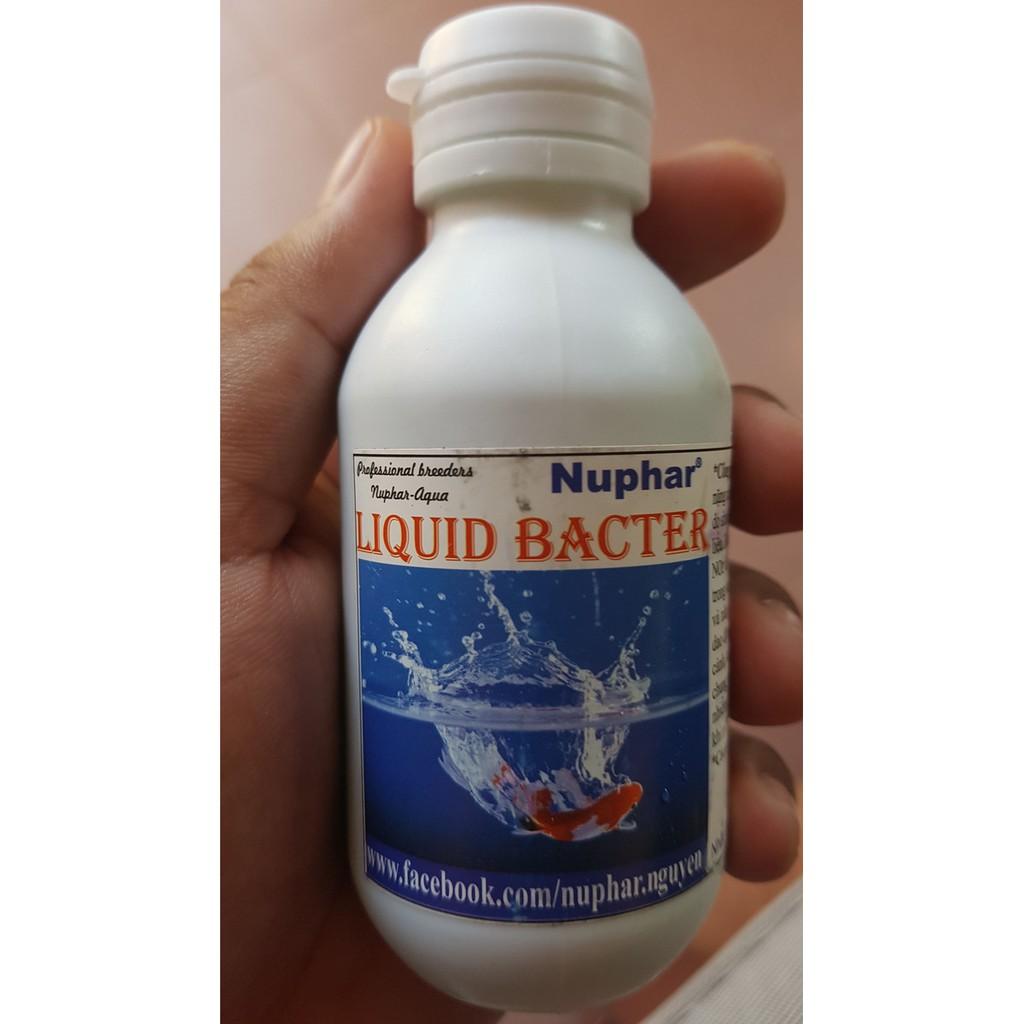 Nuphar Liquid Bacter dung dịch chống sốc nước cho cá