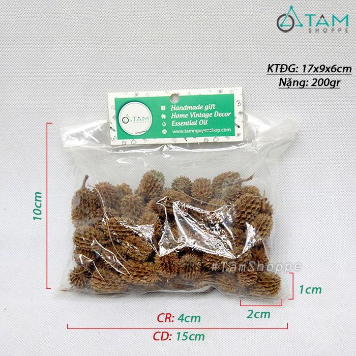 Bịch 200gr trái thông liễu khô tự nhiên trang trí F-HKHO-12