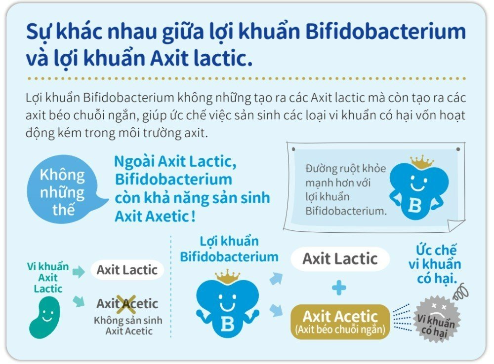 Bột Men Vi Sinh Bổ Sung Lợi Khuẩn BB536 Tốt Cho Hệ Tiêu Hóa, Tăng Sức Đề Kháng Chứa 20 Tỷ Lợi Khuẩn BB536 30 Gói x 1.5g