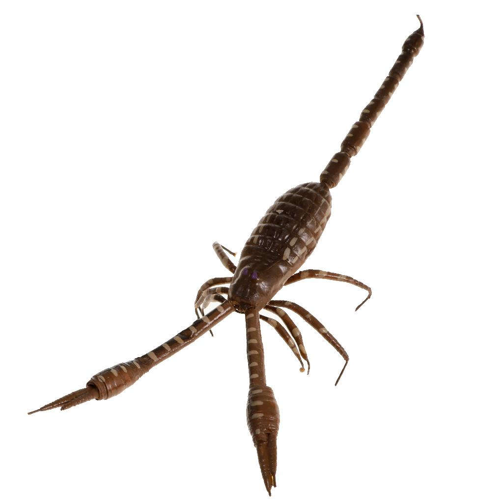 Clay Mô Phỏng Cao Côn Trùng Màu Ngẫu Nhiên Động Vật Mô Hình đồ Chơi