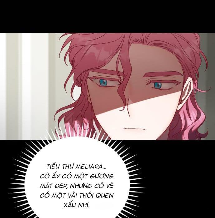 tôi trở thành nữ phản diện trong cuốn tiểu thuyết tàn khốc chapter 10.2 30