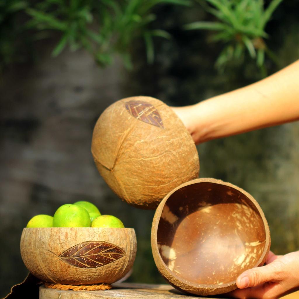 Tô/Chén/Bát gáo dừa hoa văn Cetus [Cetus Pattern Coconut Bowl]