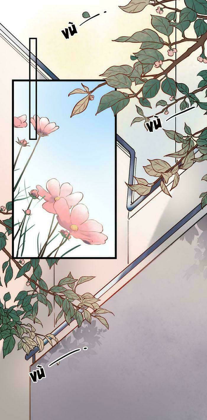 trạch thượng tịch mịch huỳnh hỏa chapter 16 38