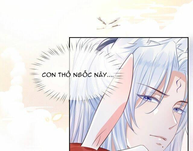 hắc hóa nam chính trực tuyến nuôi thỏ chapter 11 41