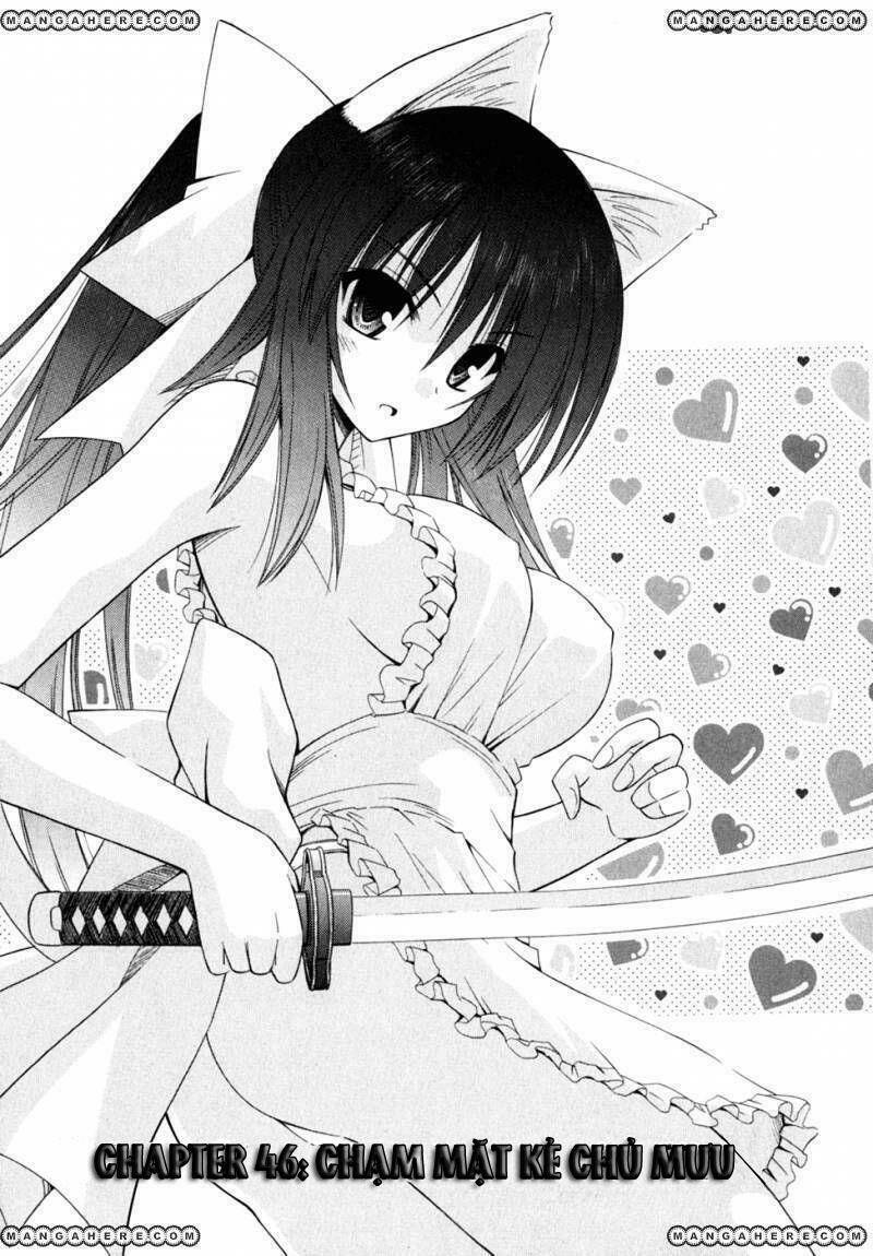 omamori himari chapter 46 6