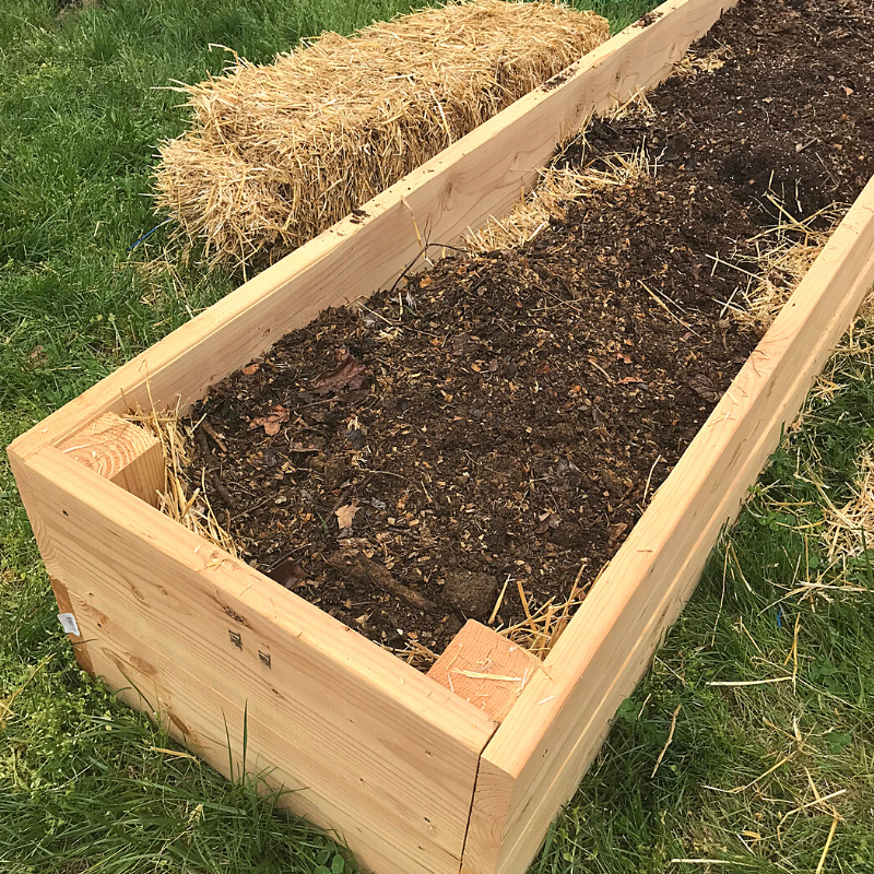 *** Wood chip, chip mulch - tổng kho mảnh gỗ mùn rải sân vườn