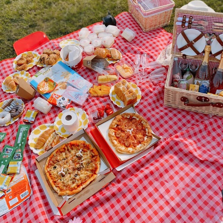 THẢM DÃ NGOẠI, DU LỊCH, PICNIC CAO CẤP - Chống thấm nước, họa tiết caro, gấp gọn tiện lợi - 2 kích thước khách chọn màu!