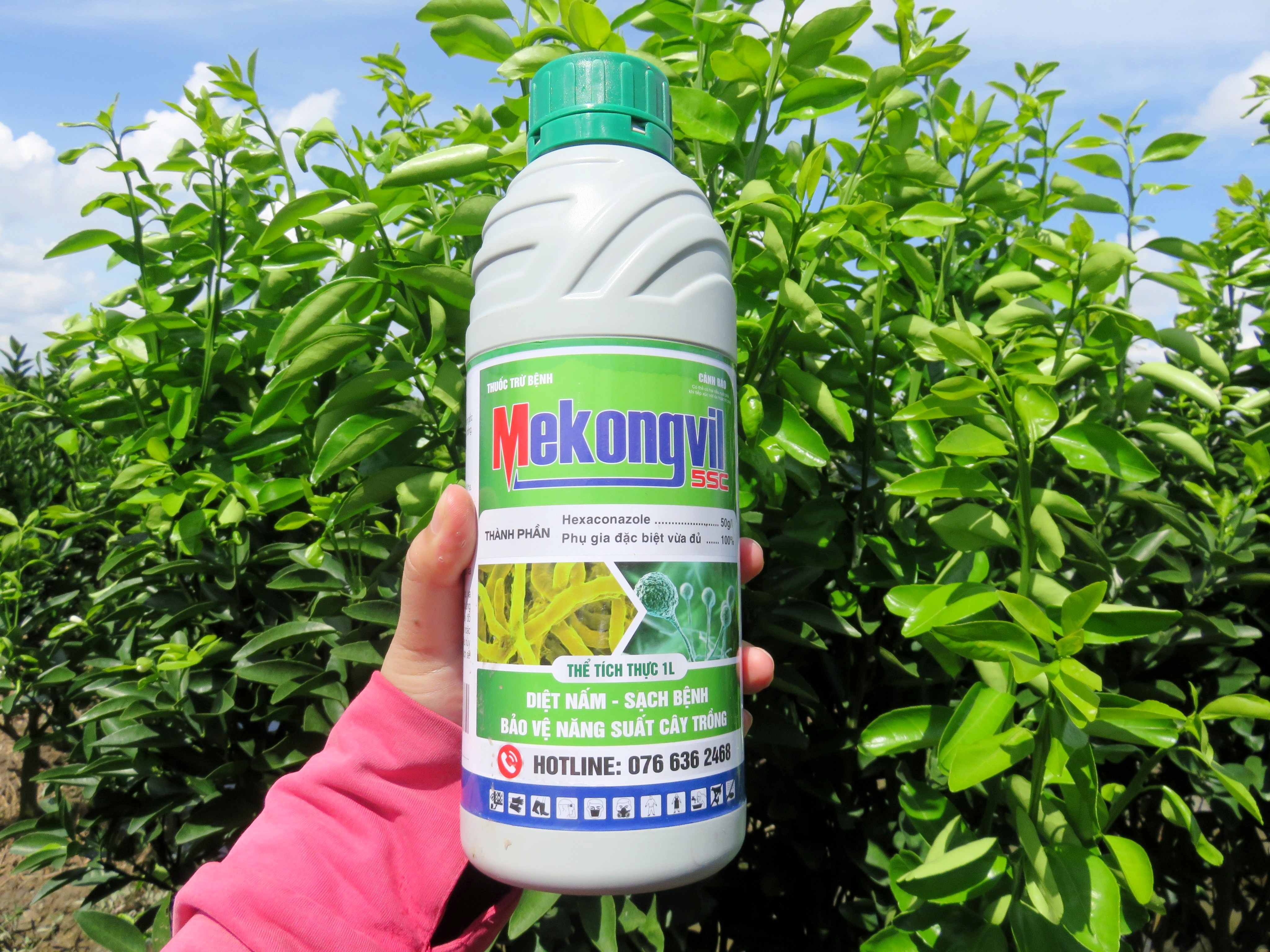THUỐC TRỪ NẤM BỆNH, PHỤC HỒI CÂY, DƯỠNG XANH LÁ - MEKONG VIL CHAI 1 LÍT
