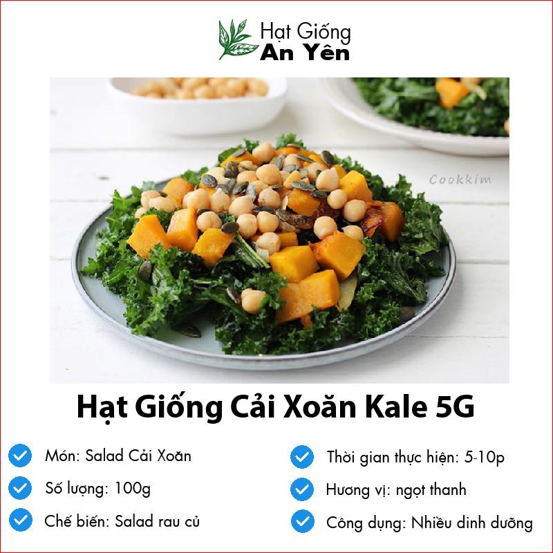 Hạt giống Cải Xoăn Kale, nhanh thu hoạch, dễ trồng, nảy mầm và năng suất cao