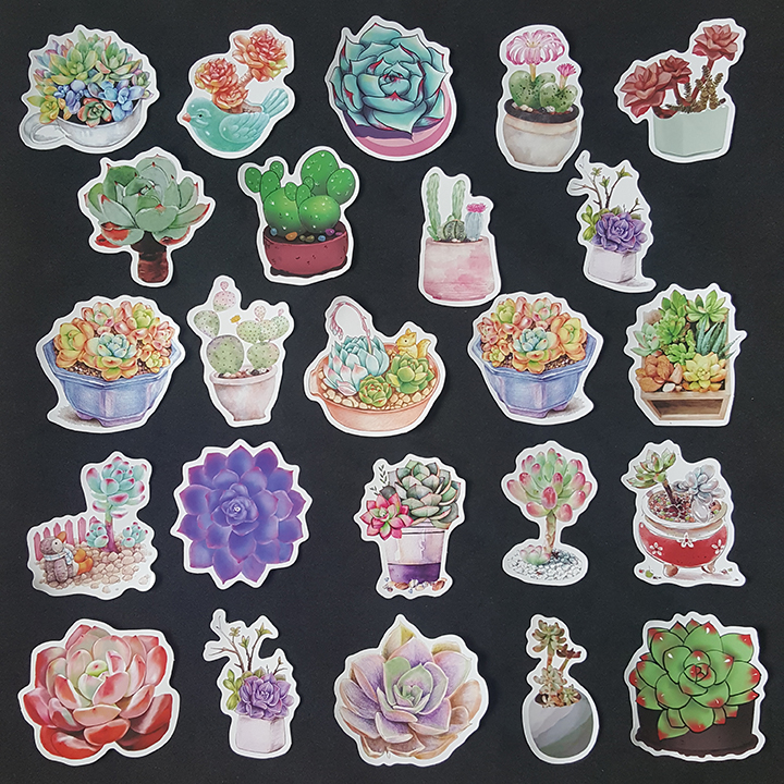 Bộ Sticker dán cao cấp chủ đề SEN ĐÁ SUCCULENTS - Dùng dán Xe, dán mũ bảo hiểm, dán Laptop