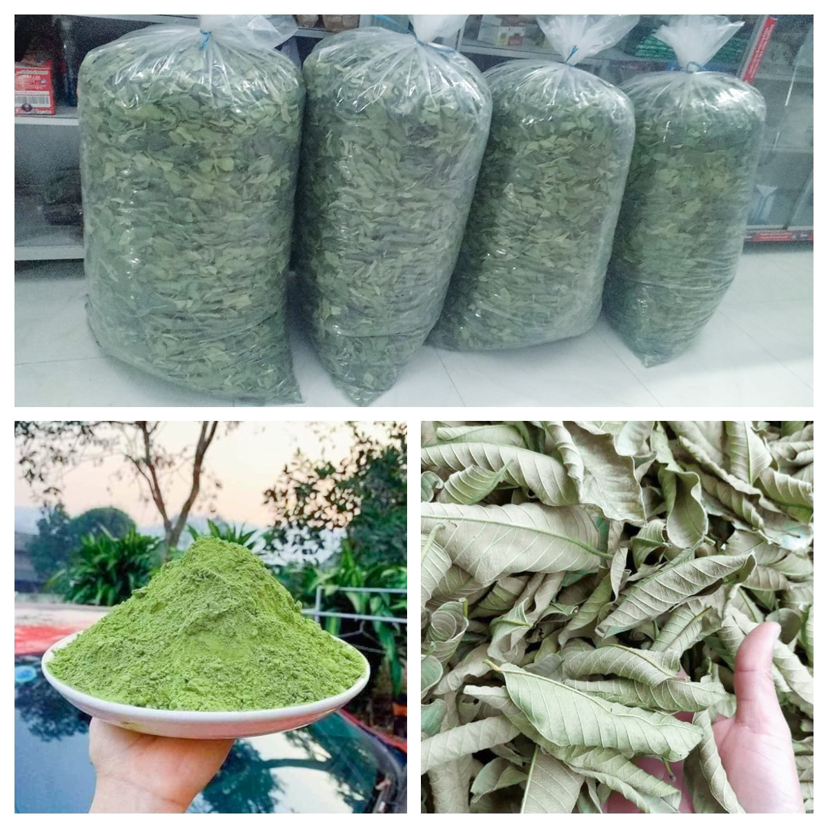 Lá ổi khô - Sản phẩm hữ cơ tự nhiên gói 1kg