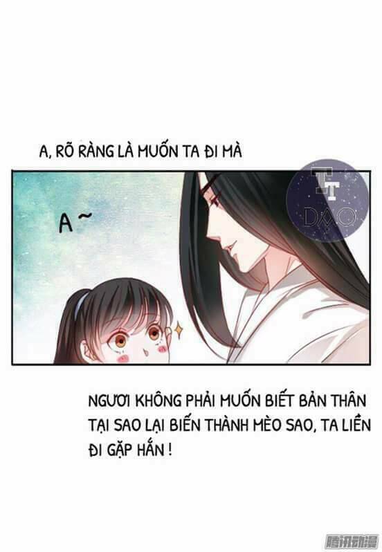 hoàng thái tử, xin nhận nuôi em! chapter 11 2