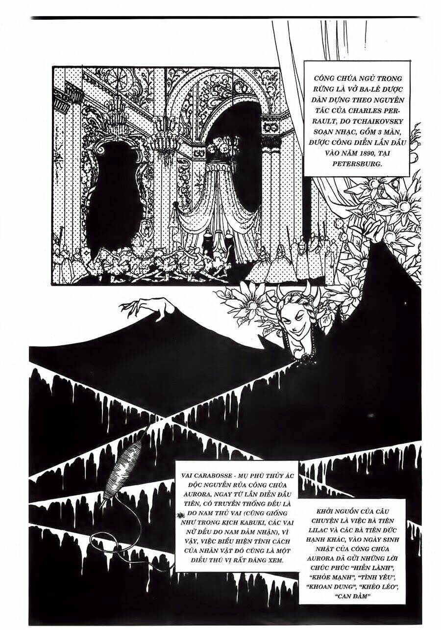 swan - vũ khúc thiên nga chapter 21 13