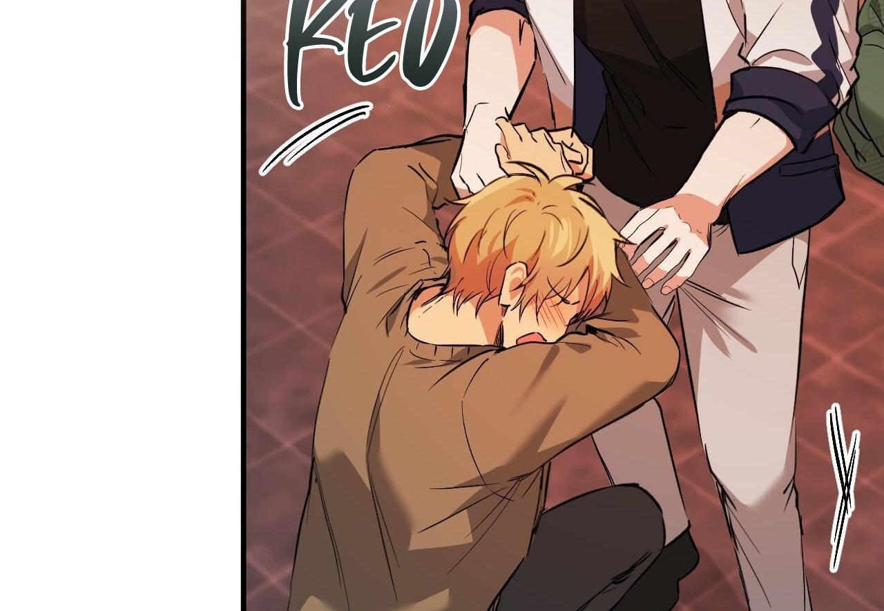 những chú thỏ của hapypy chapter 62 179