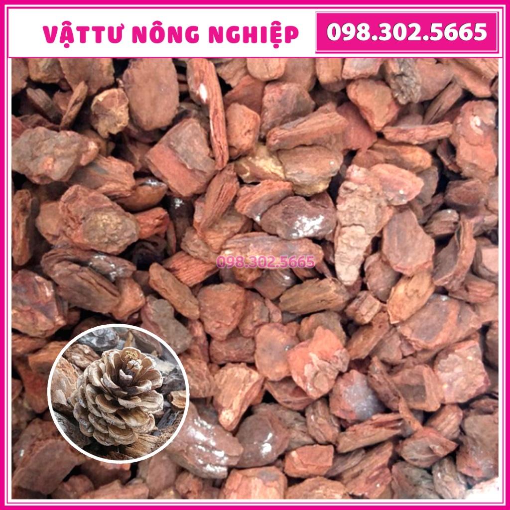 Size 1x2cm Vỏ thông mài cạnh tròn, sạch đẹp đều chuyên trồng hoa lan, cây để bàn, - Gói 1 kg