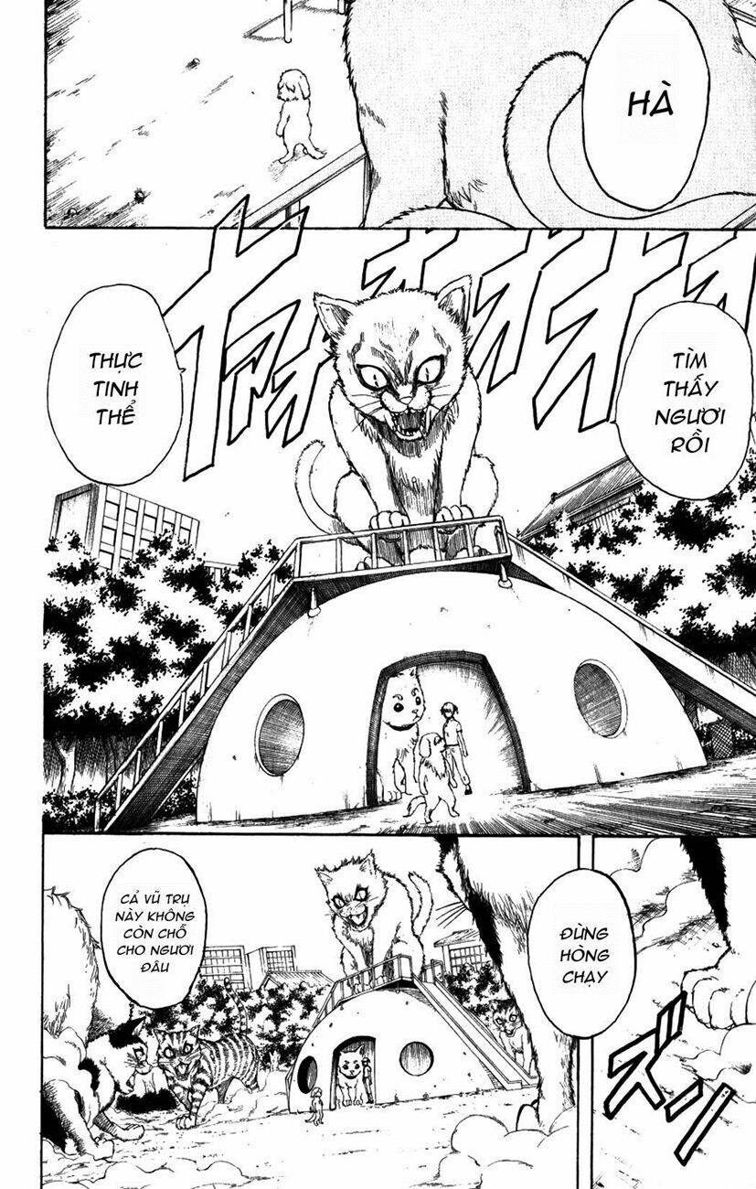 gintama - linh hồn bạc chapter 209 4