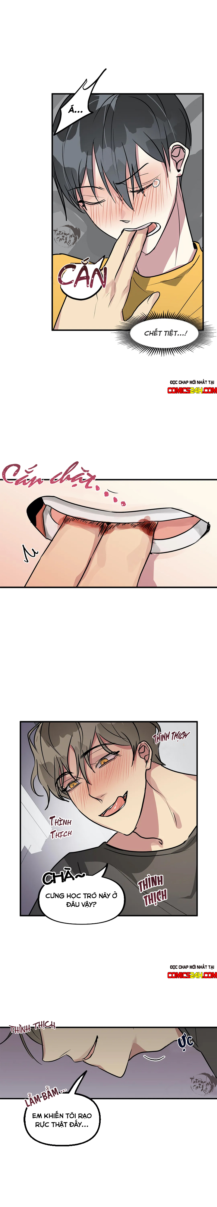 lỗi bộ nhớ chapter 6 16