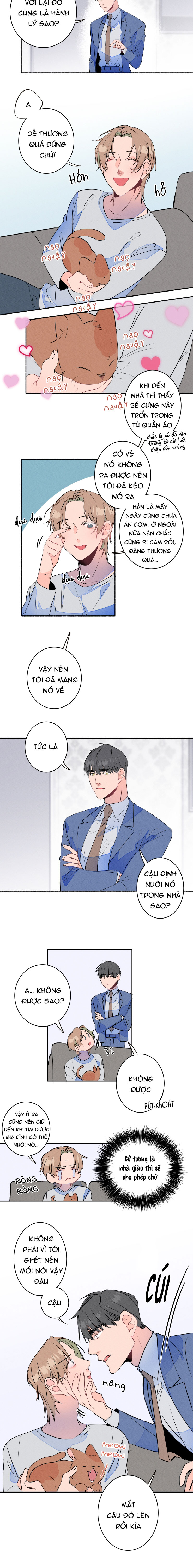 cưới anh hả?! được luôn! chapter 8 11