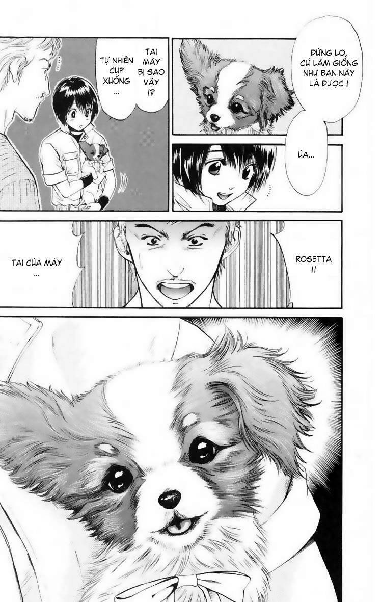 cô nàng yêu chó chapter 13 12
