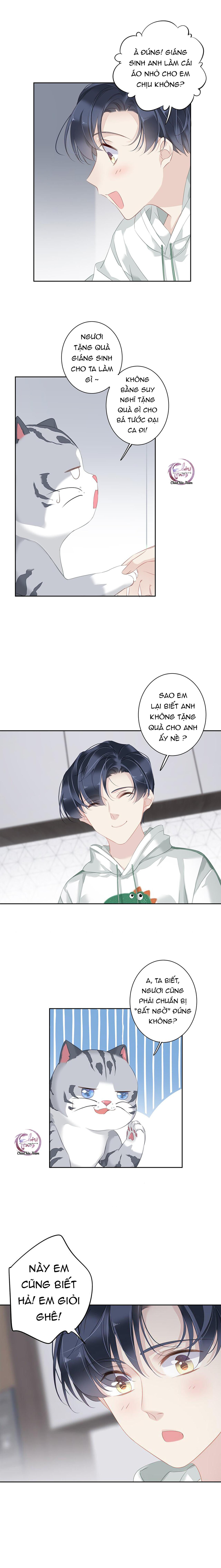 cuộc mai mối vượt giống loài chapter 38 9