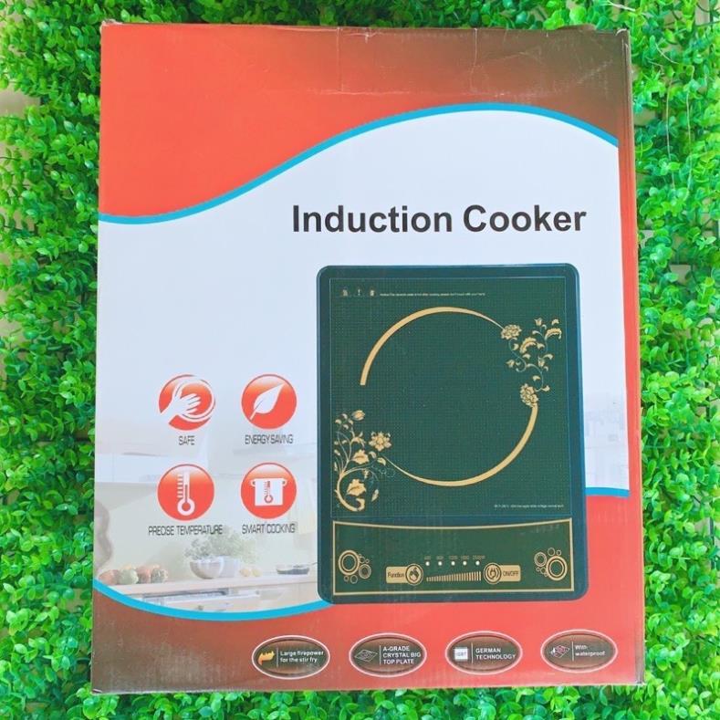 Bếp từ cao cấp induction Cooker ( kèm nồi )