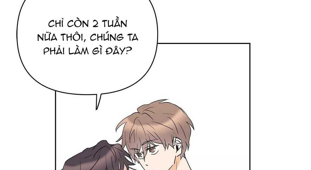 guide cấp b chapter 40 31