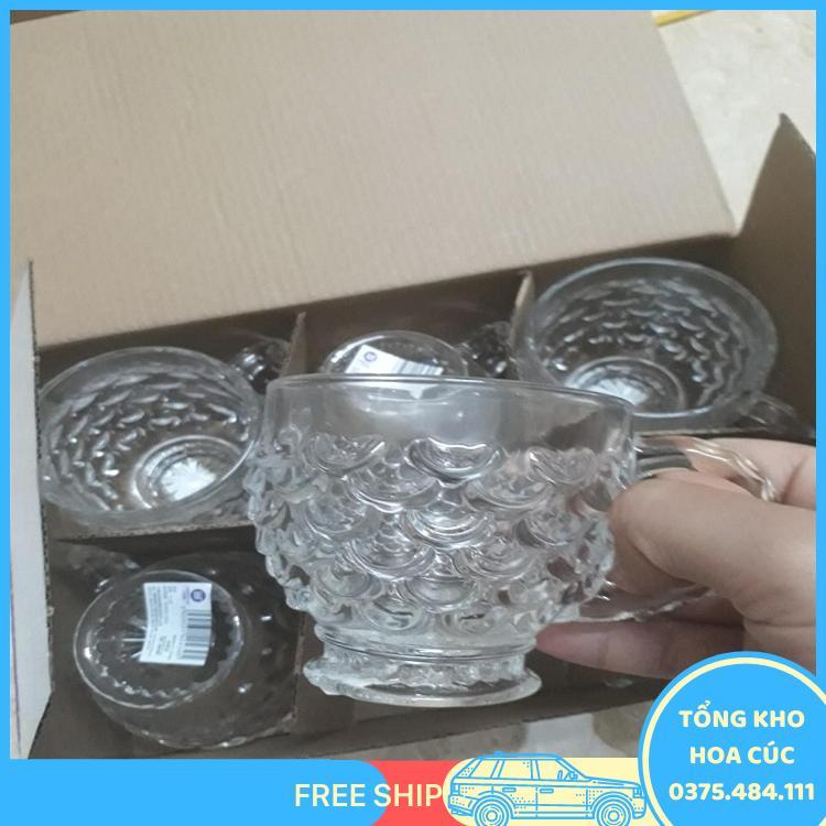 Bộ 6 Cốc Thủy Tinh Uống Nước - Vận Chuyển Miễn Phí Toàn Quốc