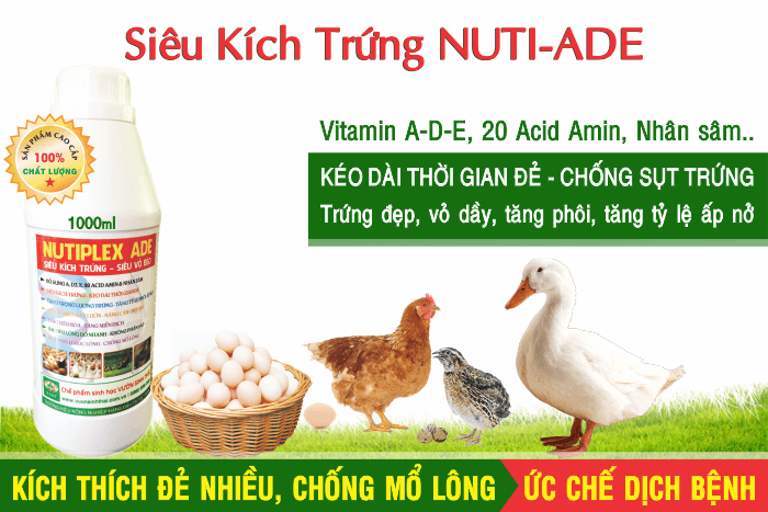 Siêu Kích Trứng cho gà, vịt, cút đẻ NUTIPLEX ADE. Kéo dài chu kỳ đẻ. Trứng đẹp, vỏ dầy, tăng phôi, tăng tỷ lệ ấp nở