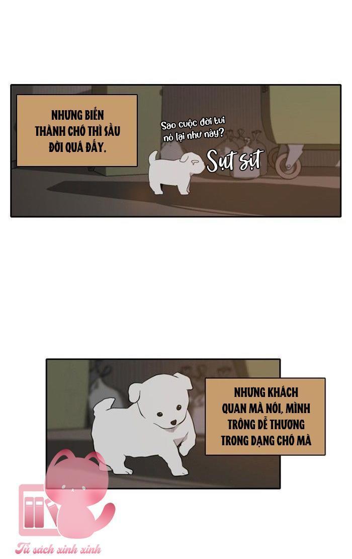 a good day to be a dog chapter 3 41