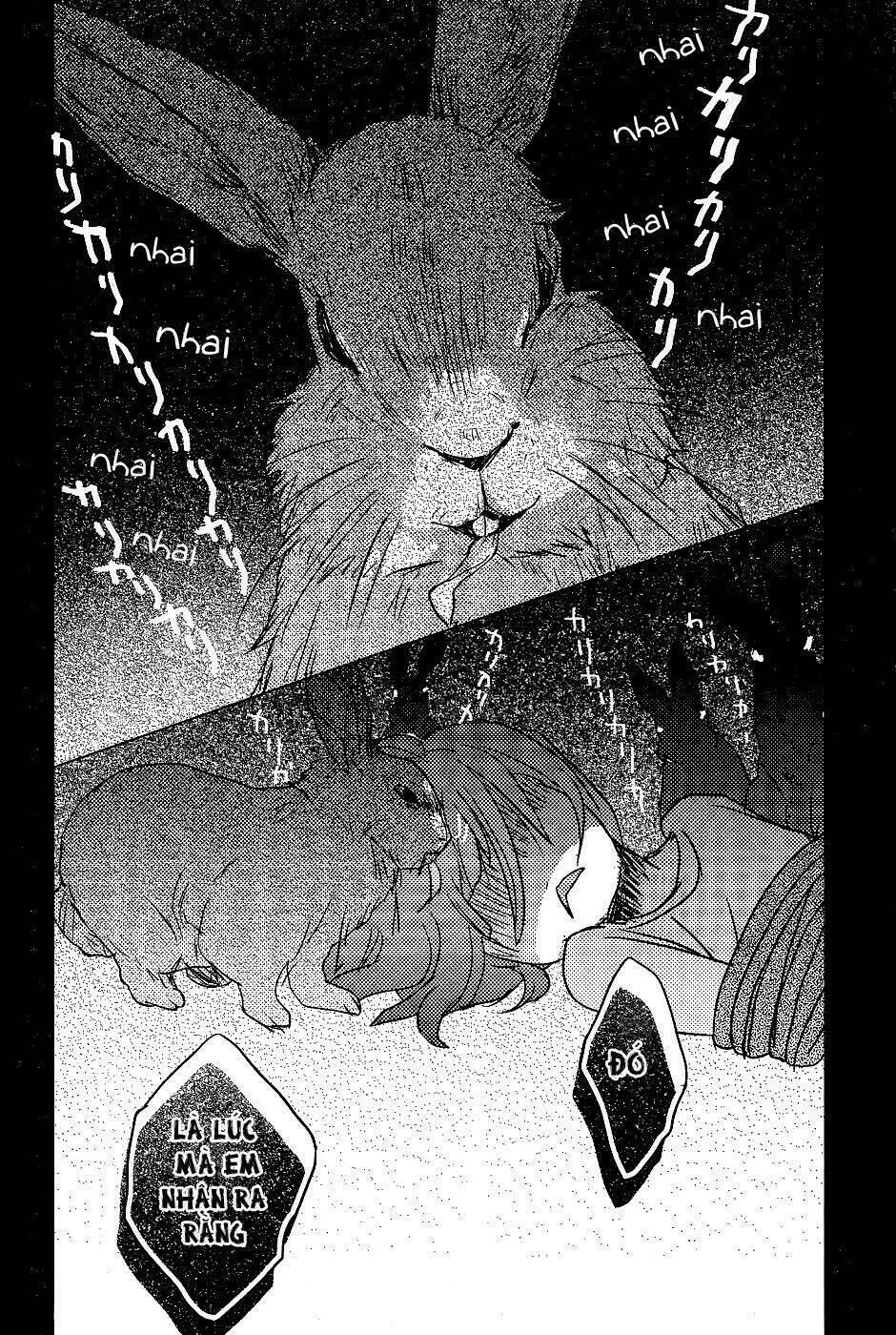 ký túc xá dễ thương chapter 73 12