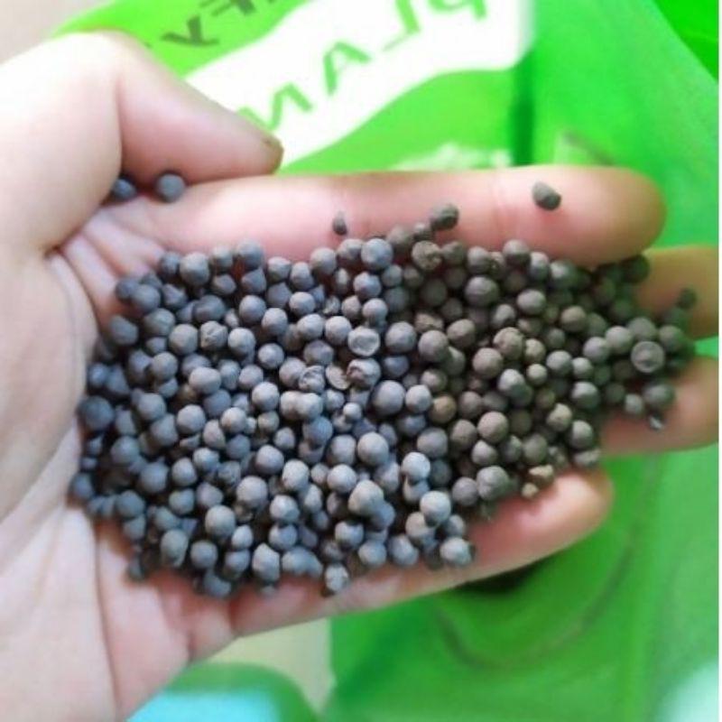 Phân nền cho cây thủy sinh Fy'sAqua - 100gr