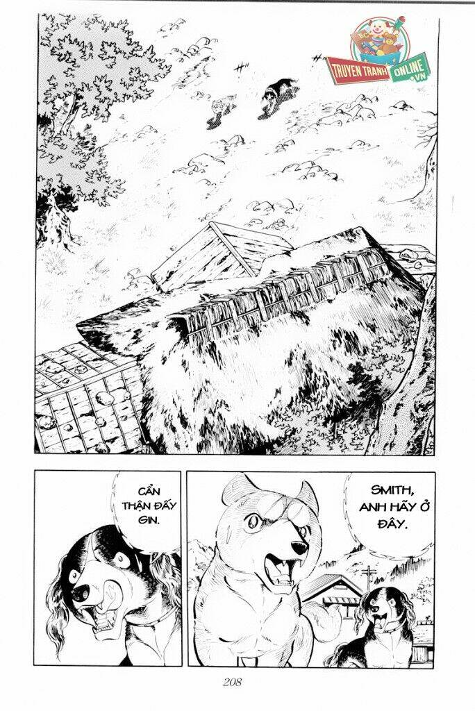 chú chó có nghĩa - ginga nagareboshi gin chapter 29 22