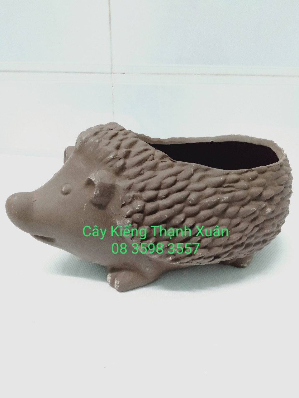 Chậu trồng cây, Chậu đất nung hình con nhím lớn có lỗ thoát nước trồng sen đá xương rồng mini , kích thước miệng chậu ngang 10x Rộng 15cm, Rộng lồng trong 20cm