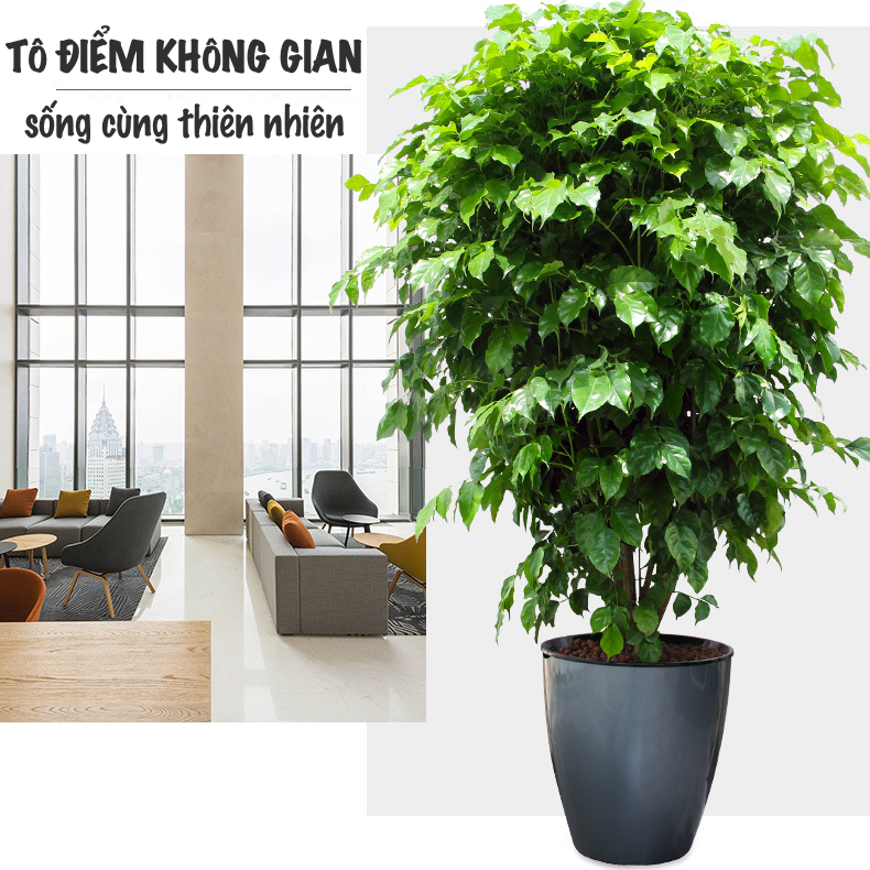 Chậu trồng cây H103. Chậu trồng cây có chức năng tự tưới nước. Loại cao cấp được phun sơn tĩnh điện màu kim loại