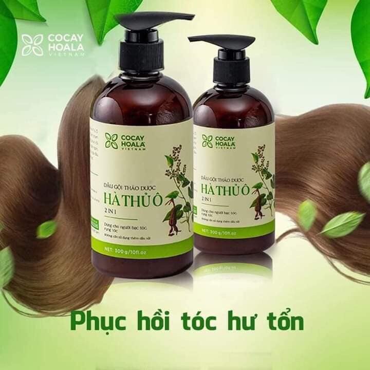 Dầu gội xả thảo dược Hà thủ ô phục hồi hư tổn, ngăn rụng tóc, dưỡng tóc mềm mượt COCAYHOALA chai 300g - Tặng lược gỗ