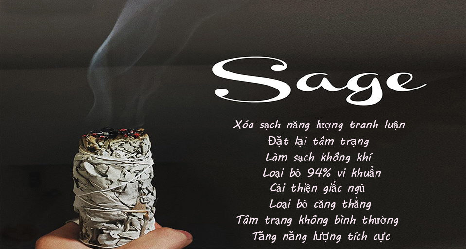 Sét 4 món (1 xô bạch đàn+1 xô đen + 2 thanh palo santo) xông thơm và bảo vệ nhà cửa